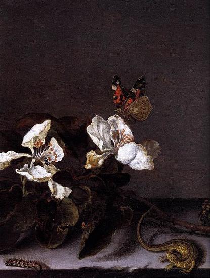 Balthasar van der Ast Still-Life with Apple Blossoms France oil painting art